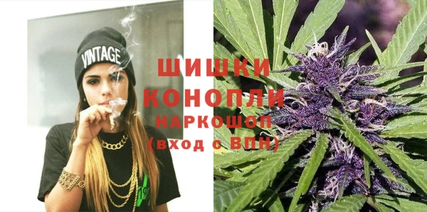 mix Белокуриха