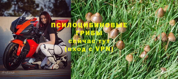МДПВ Беломорск